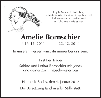 Traueranzeige von Amelie Bornschier von HERSFELDER ZEITUNG