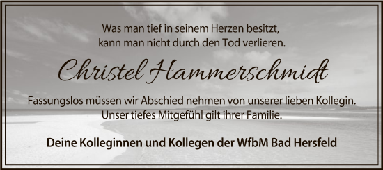 Traueranzeige von Christel Hammerschmidt von HZ