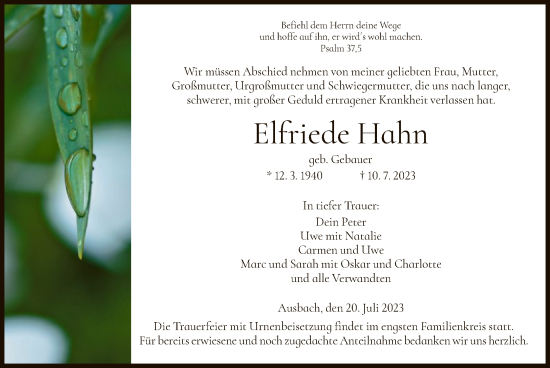 Traueranzeige von Elfriede Hahn von HZ